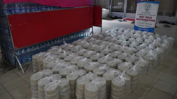 Education (Support Z Institute)